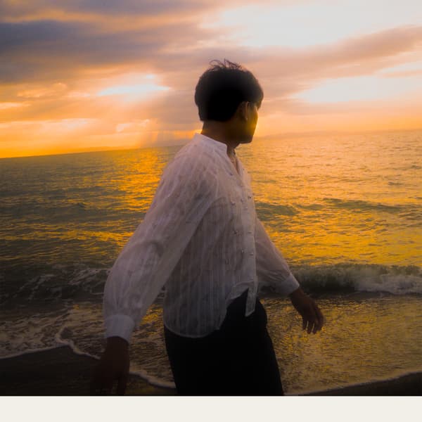 Release cover